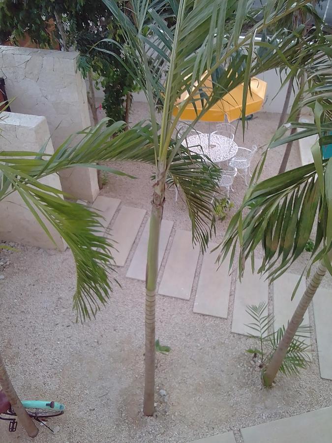 Posada Tumben Ka'A Tulum Exteriör bild